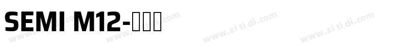 SEMI M12字体转换